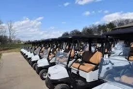 Blue and white rental golf cart