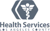 logo h